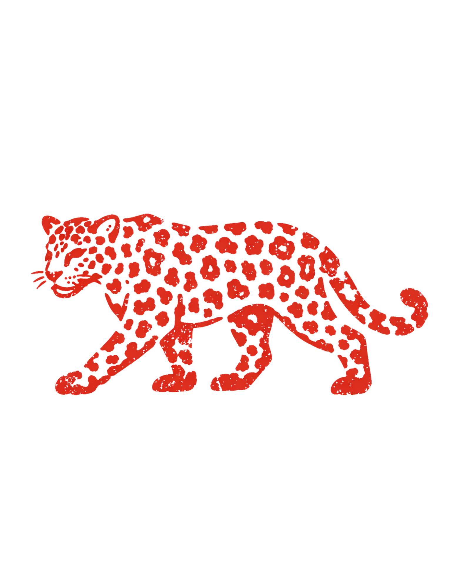 Visual Artist Portfolio